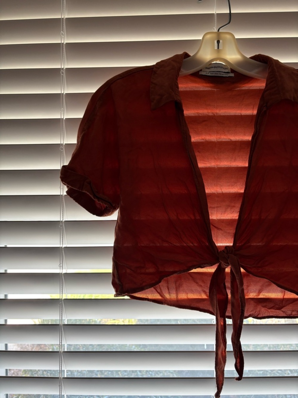 Urban Outfitters Rust Tie-Front Sheer Blouse